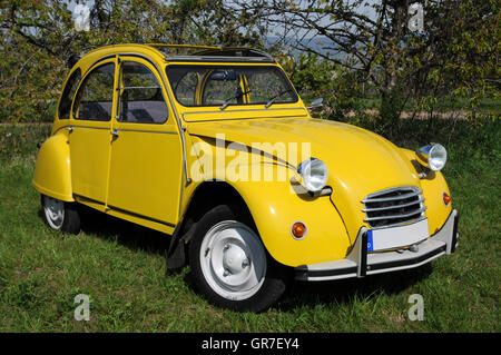 Anatra 2Cv Foto Stock