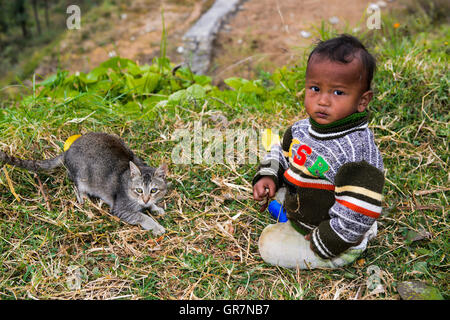 Bambino, ragazzo, seduta con un gatto in erba, Punakha, Bhutan Foto Stock