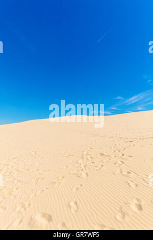 Vista dalla duna più alta in Europa - Duna del Pyla (Pilat), Baia di Arcachon, Aquitaine, Francia Foto Stock