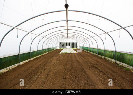 Poli tunnel o artificiale green house su afarm raccolti crescenti che reauire temperature calde. Foto Stock