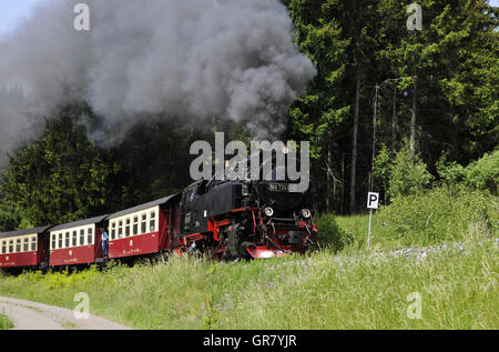 Harz ferrovia a scartamento ridotto Foto Stock