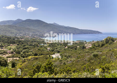 Il paesaggio nei pressi di Procchio, costa Nord, Isola d'Elba, Toscana, Italia, Europa Foto Stock