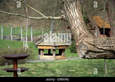 Birdhouse appesa al ramo di albero Foto Stock