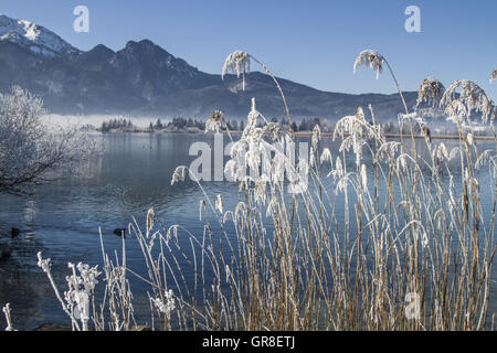 Il lago di Kochel in Inverno Foto Stock