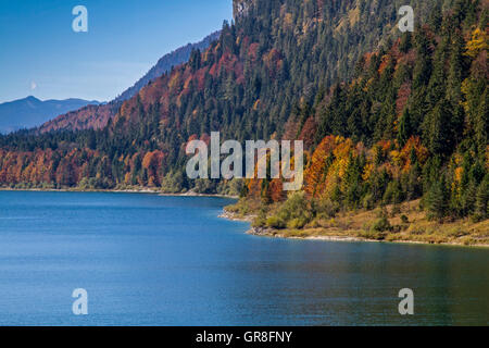 Sylvenstein serbatoio con foglie colorate in autunno Foto Stock