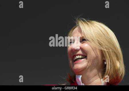 Doris Bures-National Consiglio della Repubblica d' Austria Foto Stock