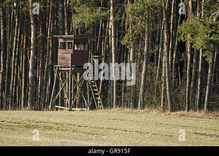 Seduta alta di un cacciatore sul bordo della foresta Foto Stock