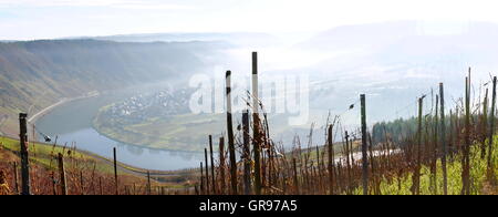 Fog In Late Autumn Over Wolf And Kröv, Vineyards In The Foreground Foto Stock