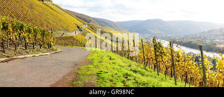 Vigneti vicino a Graach con Bernkastel a distanza Foto Stock