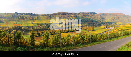 Vite colorato paesaggio autunnale nei pressi di Reil sulla Mosella Panorama Foto Stock