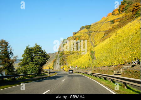 B 53 vicino al Zollturm tra Traben-Trarbach e Enkirch sulla Mosella con ripidi vigneti Foto Stock