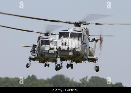 Una coppia di costruito British Royal Navy westland lynx hma.8 elicotteri recuperando alla base del Royal Naval Air Station yeovilton Foto Stock