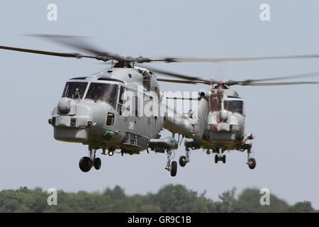 Una coppia di costruito British Royal Navy westland lynx hma.8 elicotteri recuperando alla base del Royal Naval Air Station yeovilton Foto Stock