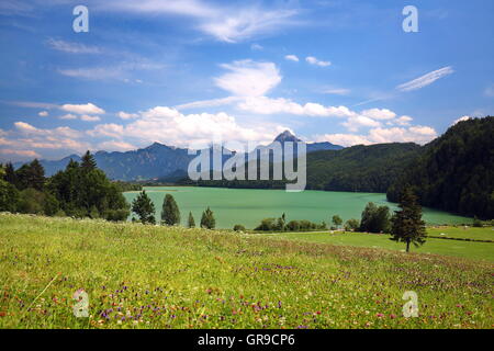 Lago Foto Stock
