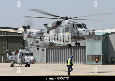 Lynx wildcat hma2 elicottero zz396 della Royal Navy di atterraggio sulla rampa di RNA con un lynx hma8 e wildcat hma2 dietro. Foto Stock