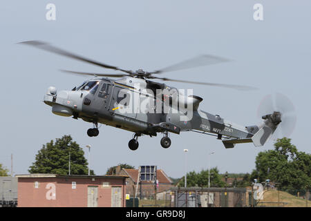 Aw159 lynx wildcat hma2 elicottero zz413 della Royal Navy, la Lynx wildcat è la sostituzione della lynx hma8 in rn servizio. Foto Stock