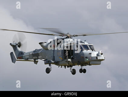 Aw159 lynx wildcat hma2 elicottero zz515 della Royal Navy, la Lynx wildcat è la sostituzione della lynx hma8 in rn servizio. Foto Stock