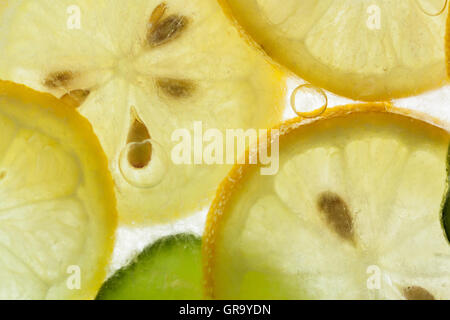 Congelati Cetrioli e limoni su un lightbox Foto Stock