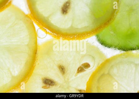 Congelati Cetrioli e limoni su un lightbox Foto Stock