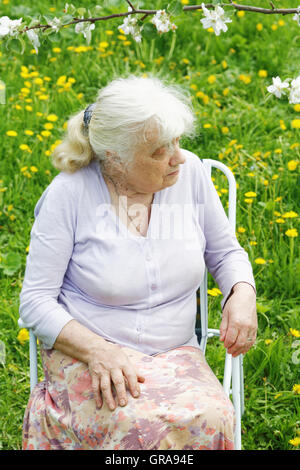 La nonna in giardino sotto una fioritura del melo Foto Stock