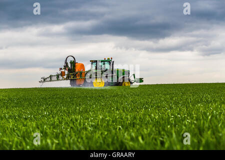 Colture di spruzzatura nel campo. Foto Stock