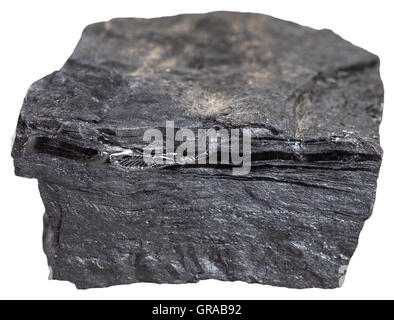 Le riprese in modalità macro di rocce metamorfiche esemplari - carbonioso in pietra di scisto (osso del carbone, slaty coalbone) isolato su sfondo bianco Foto Stock