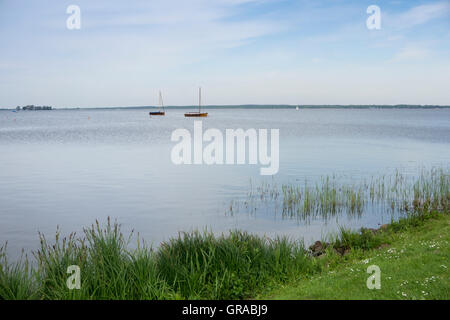 Steinhuder Meer, il Lago Steinhude, Wunsdorf, Bassa Sassonia, Germania, Europa Foto Stock