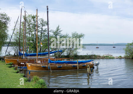 Steinhuder Meer, il Lago Steinhude, Wunsdorf, Bassa Sassonia, Germania, Europa Foto Stock