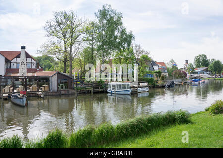 Steinhuder Meer, il Lago Steinhude, Wunsdorf, Bassa Sassonia, Germania, Europa Foto Stock