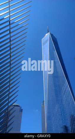 World Trade Center Tower uno accanto all'Hub di trasporto occhio. Foto Stock
