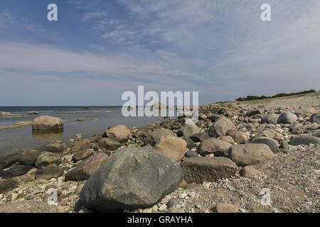 Grossi ciottoli sulla spiaggia della Riserva Naturale a Böda Öland, Svezia Foto Stock