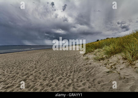 Linea di costa sul Breeger Bodden con drammatica pioggia nuvole Foto Stock