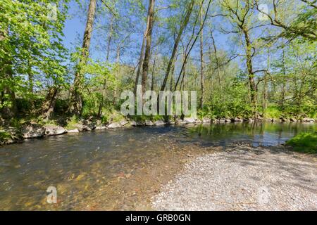 Il White Main In Baille-Maille Lime Avenue Foto Stock