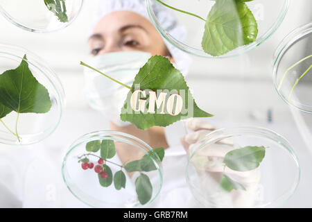 Ingegnere biotechnologist al lavoro. Foto Stock