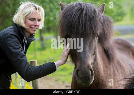 Turista canadese con cavalli islandesi vicino Hvolsvollur, Islanda, nel sud-ovest dell'Islanda, Golden Circle Tour, si è evoluta dal pony ta Foto Stock