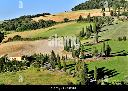 Curva pittoresca strada In Toscana circondata da cipressi, Toscana, Italia Foto Stock