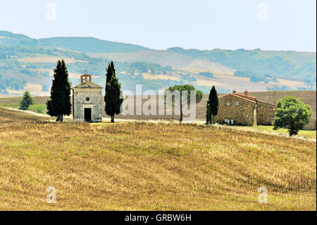 Piccola vecchia cappella tra cipressi sui campi di Toscana, Toscana, Italia Foto Stock