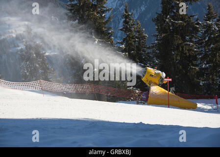 Giallo attivo Neve cannoni di fronte di abeti Foto Stock