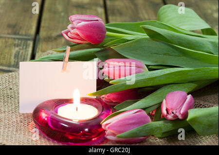 Tulipani viola sul vecchio tavolo in legno Foto Stock