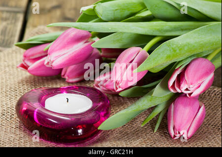 Tulipani viola sul vecchio tavolo in legno Foto Stock