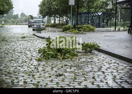 Meteo, tempesta, Storm, rami, alberi piegati, caduto, Street Foto Stock