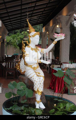 L'acqua giglio fiore si trova su un lato della, botanico di Phuket, Tailandia Foto Stock