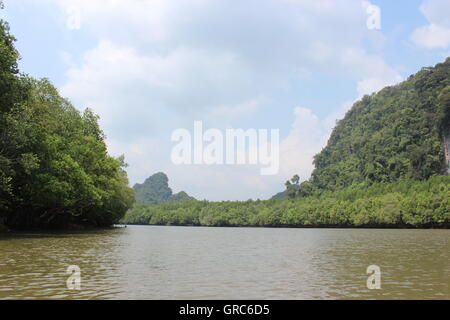 Rafting sul fiume/escursioni in canoa lungo il fiume in Khao Sok National Park riserva naturale in Phuket, Tailandia Foto Stock