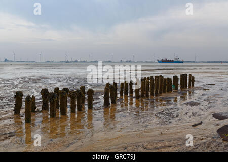 Groyne In Watt Foto Stock