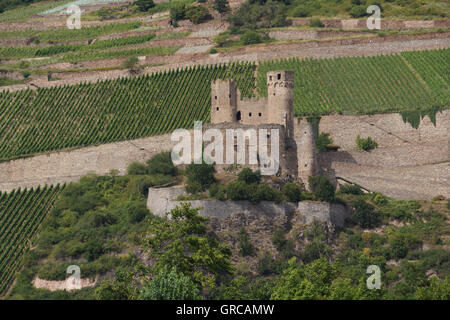 Rovina del castello di Ehrenfels vicino a Rudesheim, il fiume Reno, Hesse, Germania, Europa Foto Stock