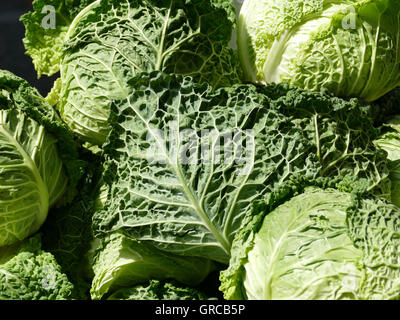 Verza Foto Stock