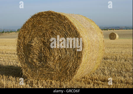 Le balle di paglia su raccolte Cornfield Foto Stock