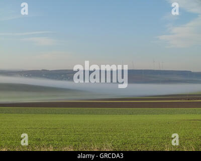 Il paesaggio agricolo Rheinhessen, qui ad Alzey County Foto Stock