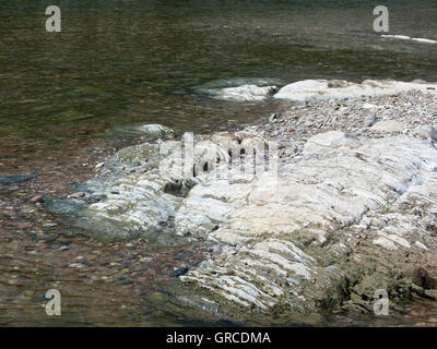 Rocce nel fiume Reno visibili a causa della bassa marea, Medio Reno Foto Stock