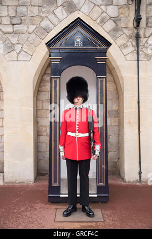 Coldstream Guards soldato del dovere al Castello di Windsor Royal residence a Windsor, Berkshire, Inghilterra, Regno Unito Foto Stock